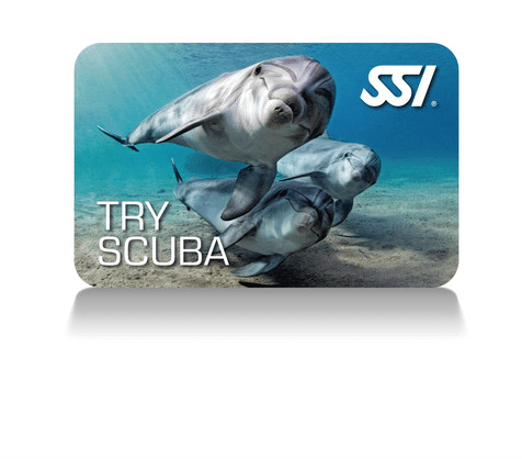 Captura de Pantalla 2020-09-13 a la(s) 10.21.04